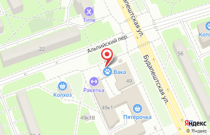 Зоомагазин Вака на Будапештской улице, 49 на карте