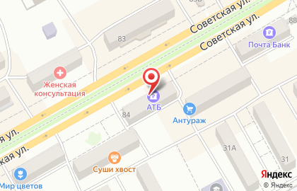 Магазин зоотоваров на Советской улице на карте