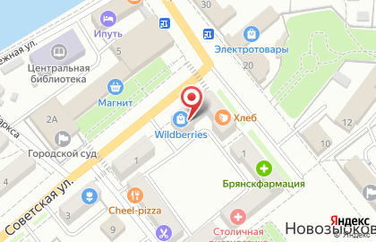 Магазин Fizalis Flowers в Новозыбкове на карте