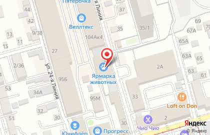 Магазин зоотоваров в Ростове-на-Дону на карте