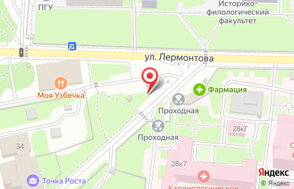 Киоск Ледяной дом на улице Лермонтова на карте