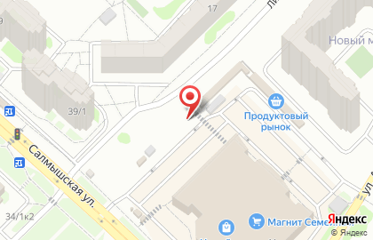 Мой дом на Салмышской улице на карте