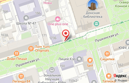 Киоск фастфудной продукции на Пушкинской улице на карте