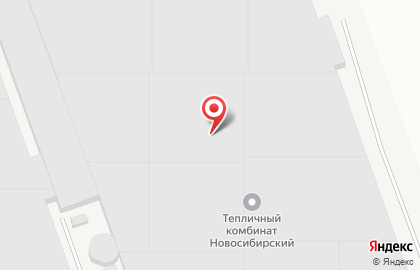 ООО Торговый дом Новосибирский на карте