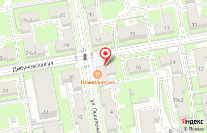 Мираж на Дибуновской улице на карте