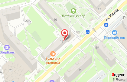 Магазин мяса птицы Тульская индейка в Центральном районе на карте