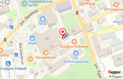 Парикмахерская пЧёлка на улице Тургенева на карте