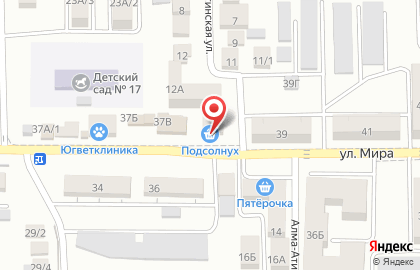 Продуктовый магазин Подсолнух на улице Мира на карте