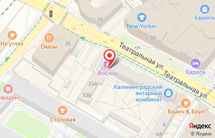 Ветеринарная аптека Кот и Пёс на Театральной улице на карте