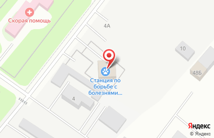 Станция по борьбе с болезнями животных Кингисеппского и Сланцевского районов на карте