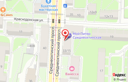Центр Организации Социального Обслуживания на Среднеохтинском проспекте на карте