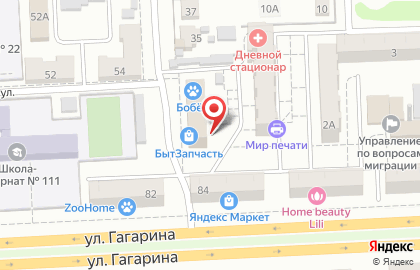 Бобёр на улице Гагарина на карте