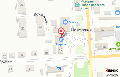 Продуктовый магазин на улице Пушкина на карте