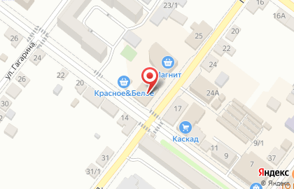 Магазин разливного пива Хмельная Миля на улице М.Горького на карте
