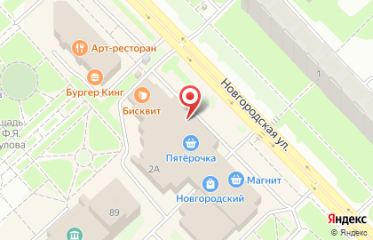 Джунгли на Новгородской улице на карте