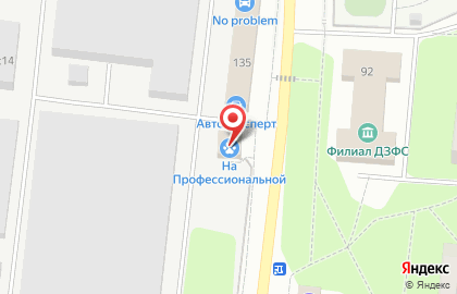 Ветеринарная клиника На Профессиональной на карте