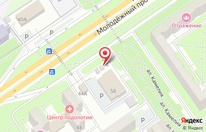 Магазин рыбы в Белгороде на карте