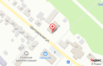 Продовольственный магазин на Центральной улице на карте