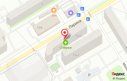 Магазин зоотоваров Домашний любимец на карте