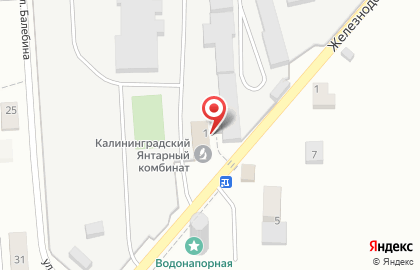 Фирменный магазин изделий из янтаря Калининградский янтарный комбинат в Калининграде на карте