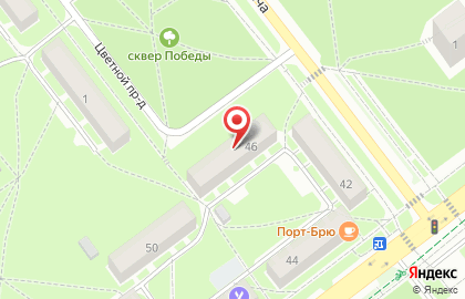 Белый Кот Сибирь на Морском проспекте на карте