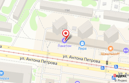 Академия детства на улице Антона Петрова на карте