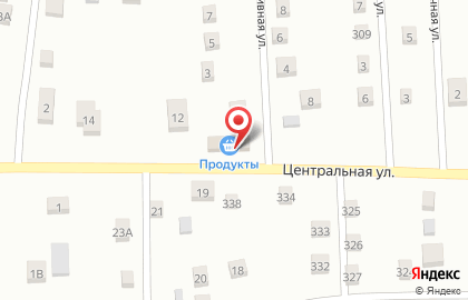 Продуктовый магазин Дачный на Центральной улице на карте