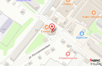 Магазин Красное & Белое на улице Рогозинниковых на карте