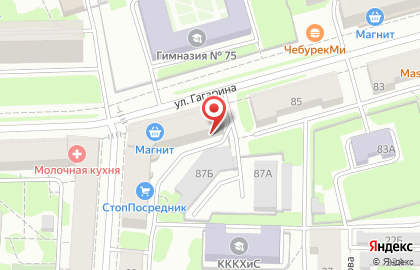Транспортная компания ДиСМеГ на улице Гагарина на карте