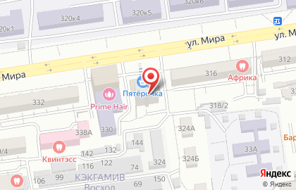 Сфинкс на улице Мира на карте