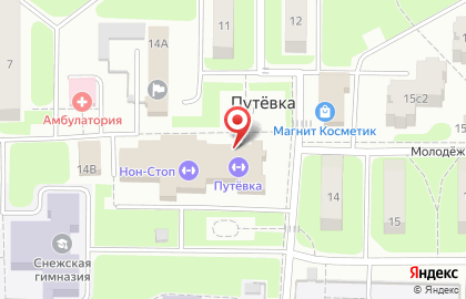 Культурно-спортивный комплекс Путёвка на Центральной улице на карте