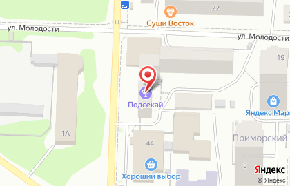 Стоматологическая клиника Жемчужина на улице Молодости на карте