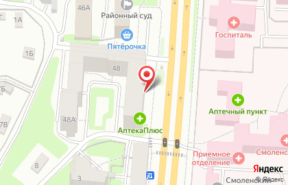 Торговый дом Витязь на проспекте Гагарина на карте