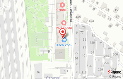 Стрижи, ЗАО Восток Центр Иркутск на Центральной улице на карте