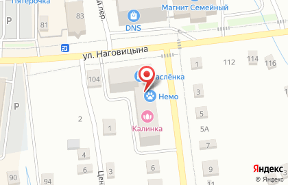 Зоомаркет Немо в Ижевске на карте