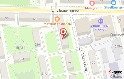 Центр экспертизы и оценки на улице Ломоносова на карте