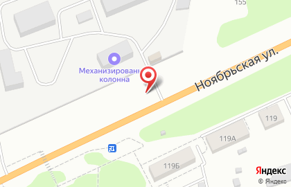 Шиномонтажная мастерская на улице Ноябрьской на карте