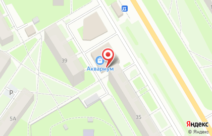 Пятерочка в Кингисеппе на карте
