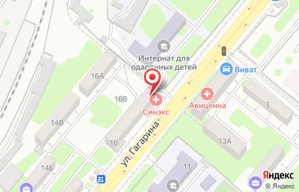 Медицинская лаборатория Синэкс на улице Гагарина на карте