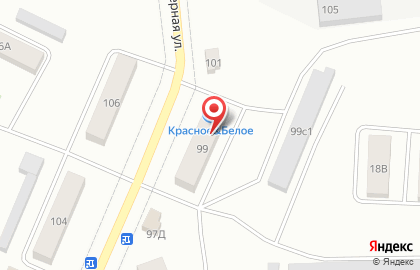 Магазин Красное & Белое на Северной улице в Ялуторовске на карте