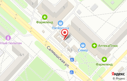 Русь на Салмышской улице на карте