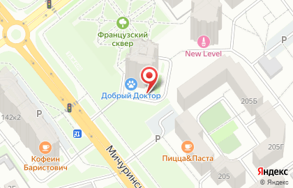 Строящиеся объекты Фортуна-плюс на Мичуринской улице на карте