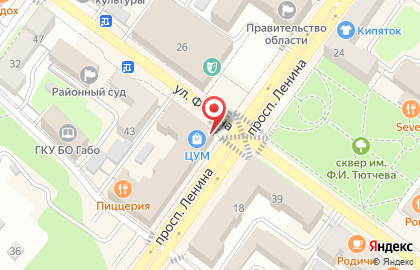 Цветы на Бежицкой на карте