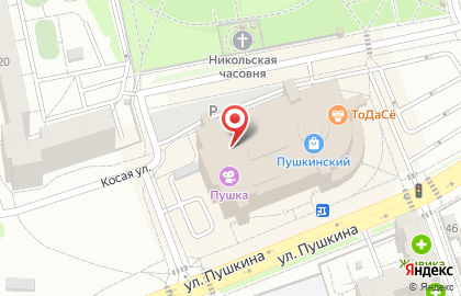 Салон Венеция на улице Пушкина на карте