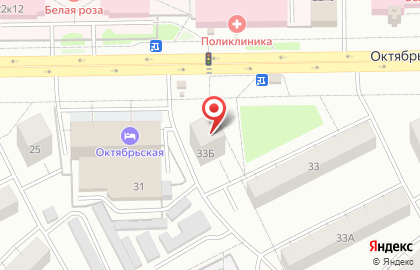 Айболит на Октябрьском проспекте на карте