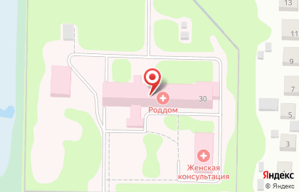 Женская консультация Родильный дом №4 на улице Козлова в Орехово-Зуево на карте