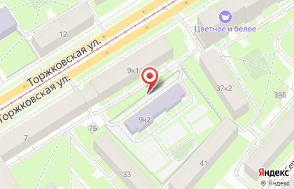 Детский сад №21 на метро Чёрная речка на карте