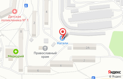 Продуктовый магазин Натали на Приморском проспекте на карте