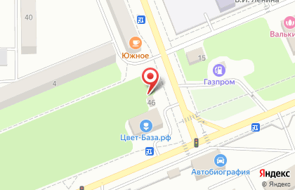 Шиномонтажная мастерская на улице Курчатова на карте