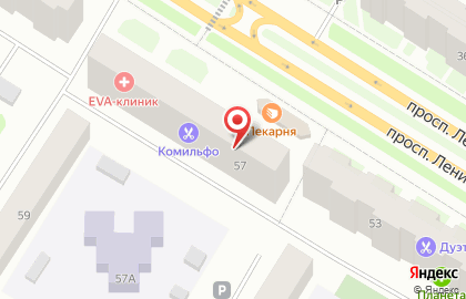 Туристическое агентство Желтый чемодан на проспекте Ленина на карте